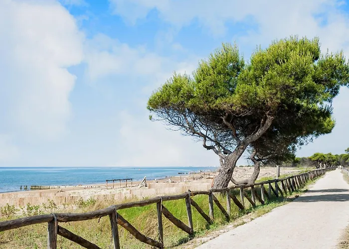Lejlighed Bright Near The Bibione